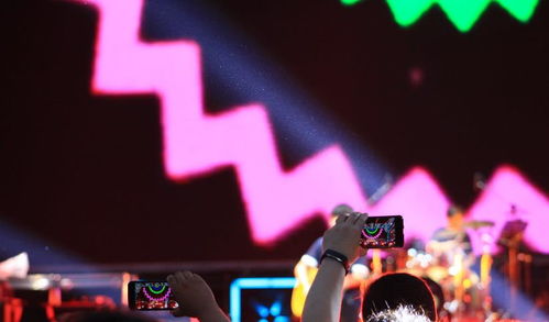 中演協經紀人委員會攜手廣播電視節目制作經營，助力沈陽法庫音樂節圓滿落幕